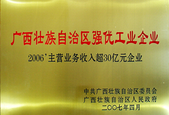 2007年自治區(qū)強優(yōu)工業(yè)企業(yè)